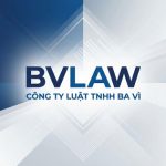 Án lệ 82